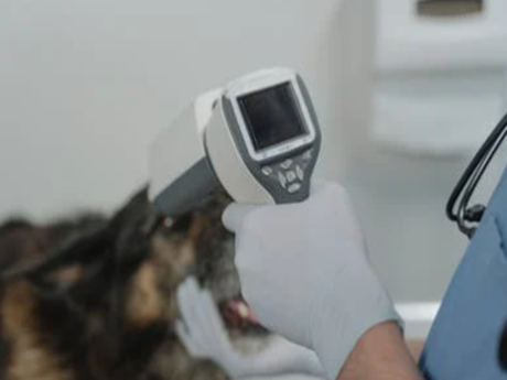 Thermal-Imaging-Industry.jpg